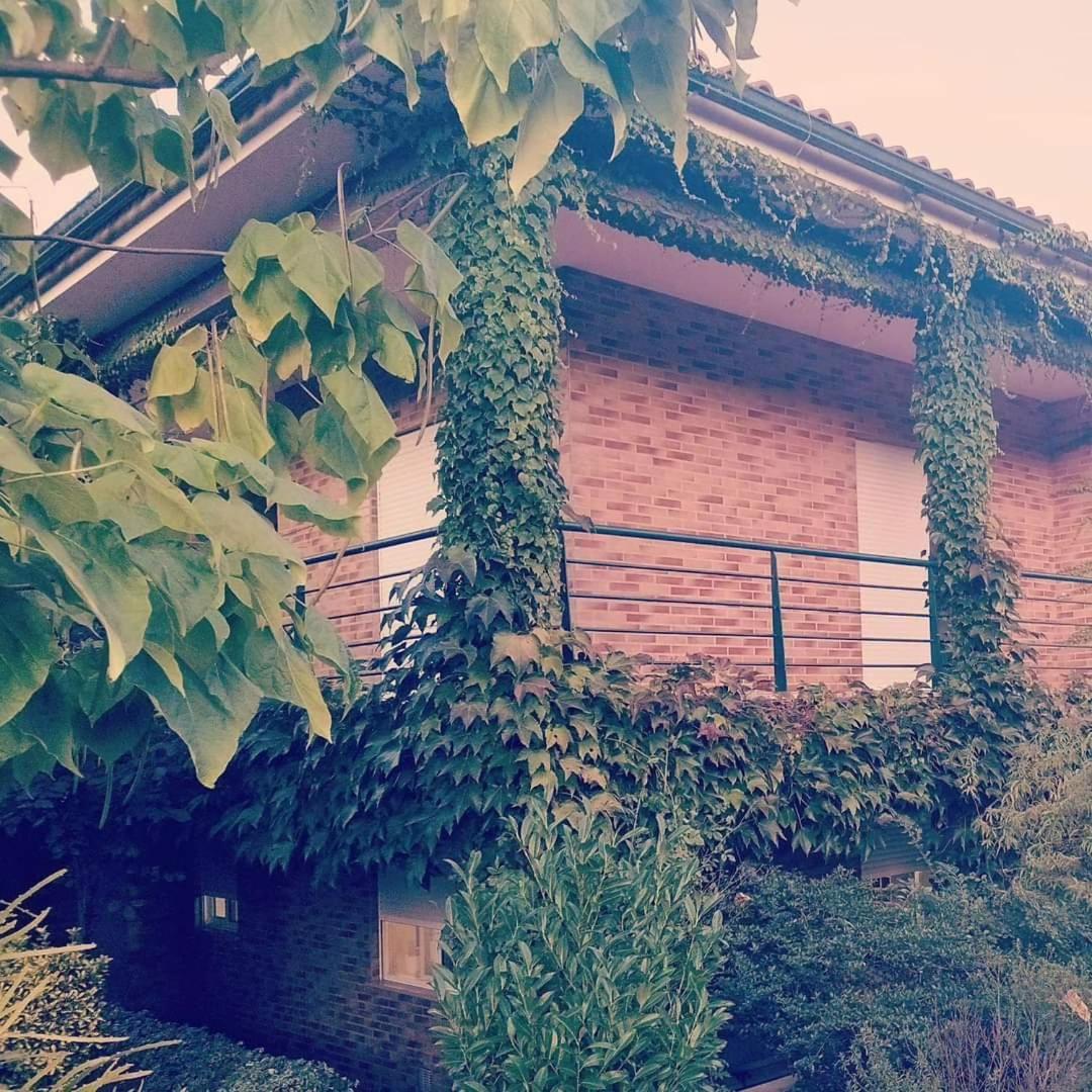 Casa Campo Ao Rio_Village Barcelos Buitenkant foto